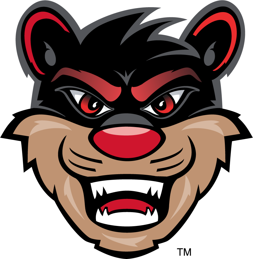 Cincinnati Bearcats 2010-Pres Mascot Logo t shirts iron on transfers